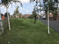 Click for all images